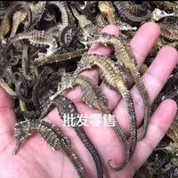 梦醒后的小富 ❤️💚💙💜💛🎏头像