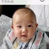 王云峰头像