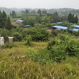 明瑞家庭农场杨君头像