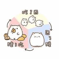 加油喽少年头像