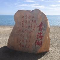 砍价购车人头像