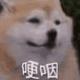 咩每天都想暴富头像