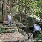 小胖头像