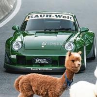 俊俏星星We头像