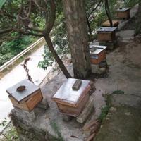 热血传奇韩服头像