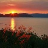 下一站幸福3424头像