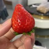 用户5813329862371头像