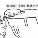 邻家女孩同志的个人资料头像