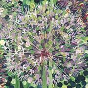 yunsui的个人资料头像