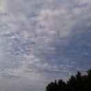 甜党万岁的个人资料头像