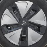 仁爱暖阳mDgMaSW头像