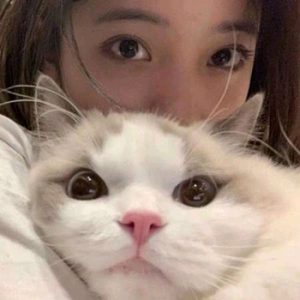 猫姐爱吃鱼头像