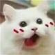 野猪佩琪4919头像