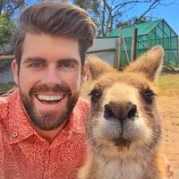 经典不再经典头像