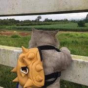 坝格的个人资料头像