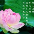阿玲691头像