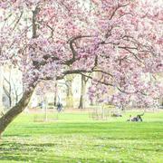 jacky467的个人资料头像