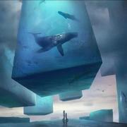 用户24930712626的个人资料头像