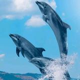 海宽天空头像