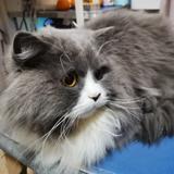 嗯的吧水晶泥头像