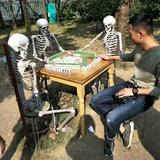 林海HLJ头像