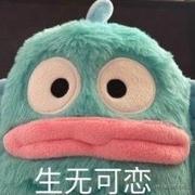 前端小午马的个人资料头像