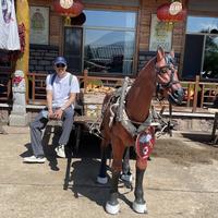 阿刘09051965头像