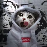 干杯吖宝贝的个人资料头像