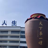 一只烟的元素头像