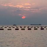 九天揽月2815头像