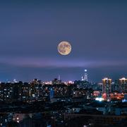 kvv的个人资料头像