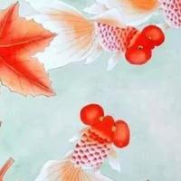 昊丰达头像