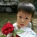 苗苗同志的个人资料头像