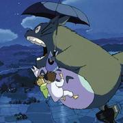 prime234的个人资料头像