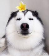 妥妥的_的个人资料头像