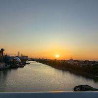 樱花盛开期头像