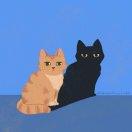 Wang的个人资料头像