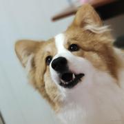 馒头爱惹事的个人资料头像