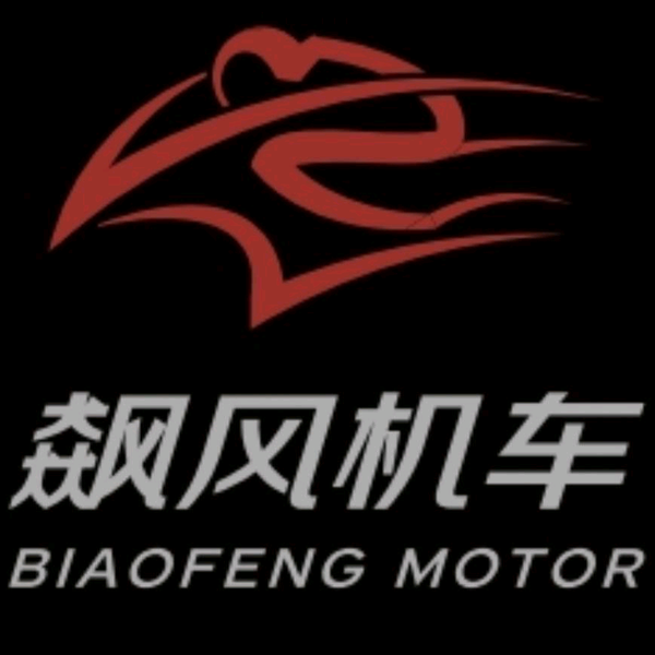 确山县飙风机车俱乐部头像