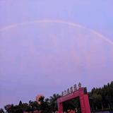 缤纷小红花QB头像