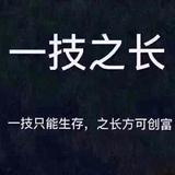 多米清净头像