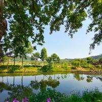 自在三河4I1头像