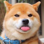 keeponesword的个人资料头像