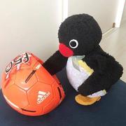 愿世界没有加班的个人资料头像