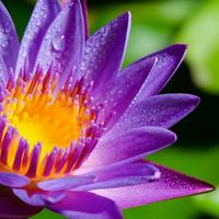 未知83372228头像