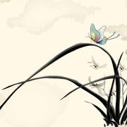 潇潇暮雨408的个人资料头像