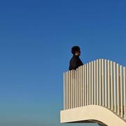 水杉595的个人资料头像