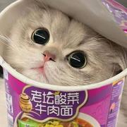 紫陌桑田的个人资料头像