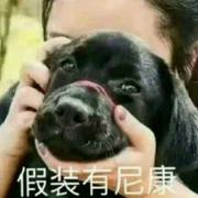 那个肖某某的个人资料头像