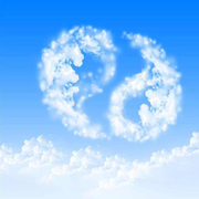 任桓之的个人资料头像